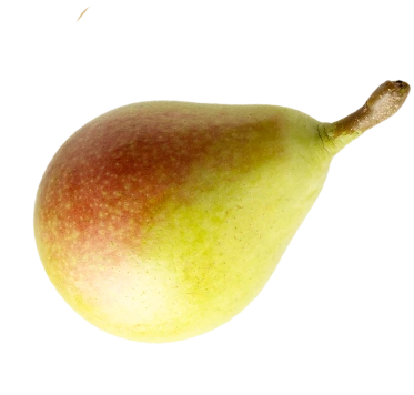 pear-image