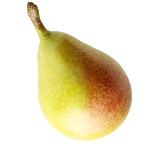 pear-image